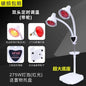 Lampe de Chaleur Infrarouge avec Support – Idéale pour Physiothérapie, Massage et Bien-Être