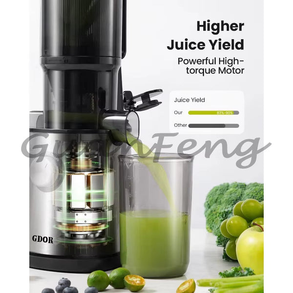 Extracteur Jus Haute Puissance
